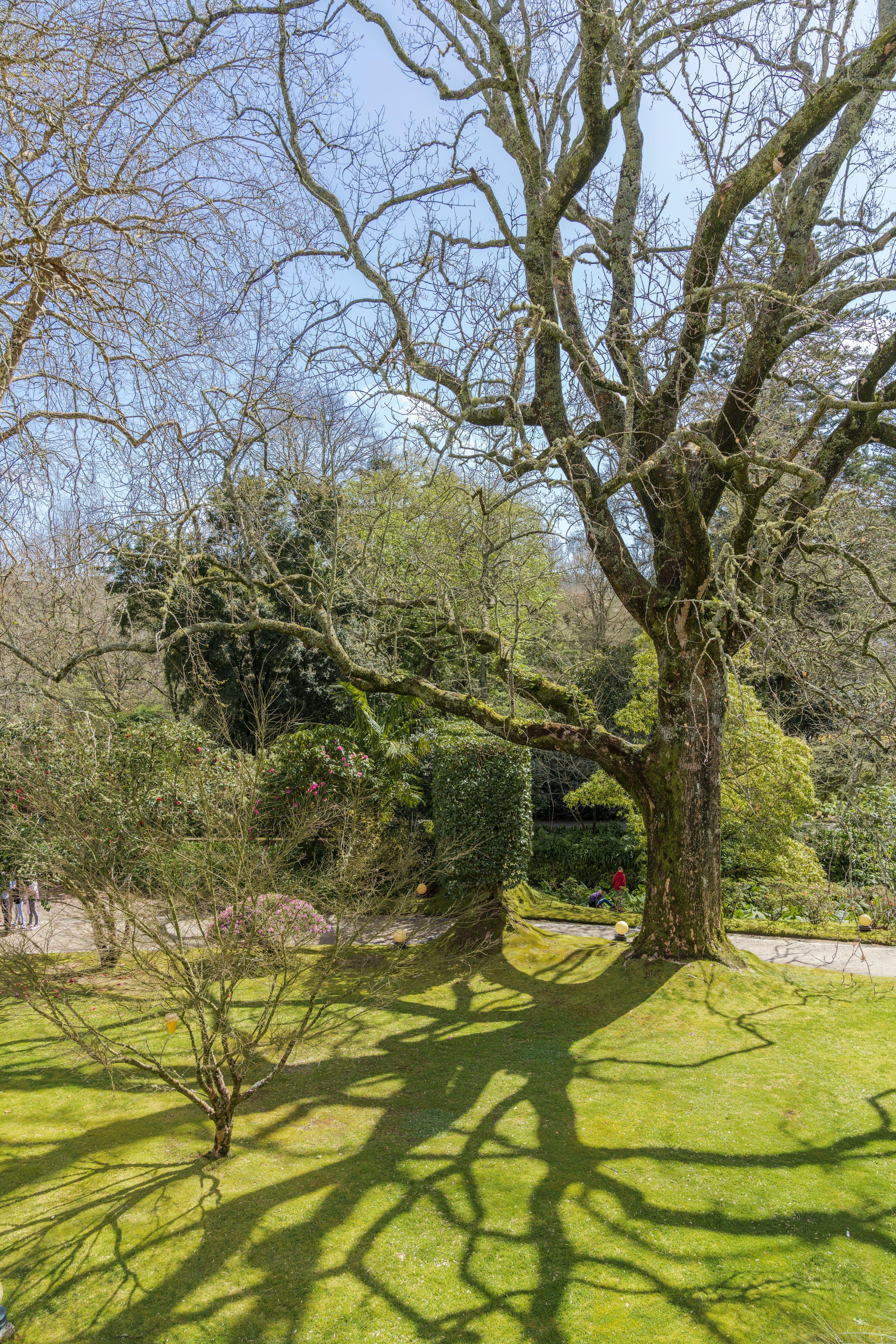 Terra Nostra Garden Hotel Furnas  Eksteriør bilde