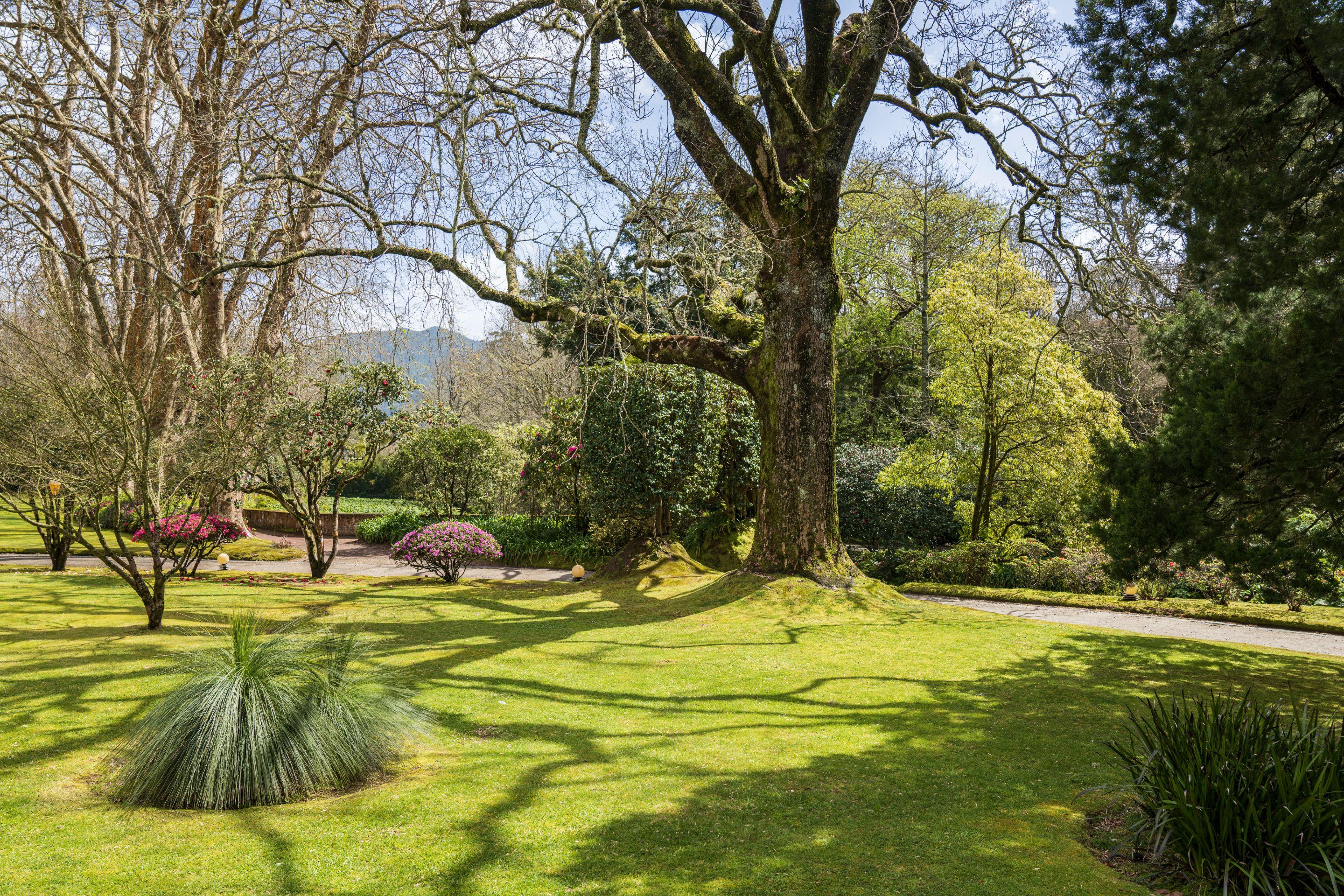 Terra Nostra Garden Hotel Furnas  Eksteriør bilde